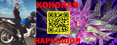 сатива Чапаевск