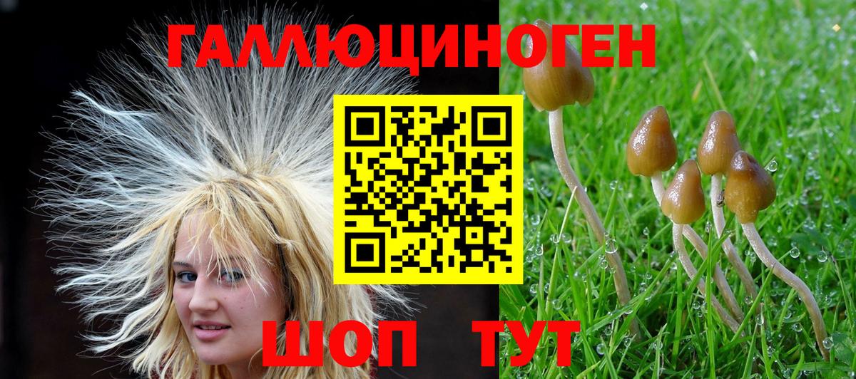 Псилоцибиновые грибы мухоморы Корсаков