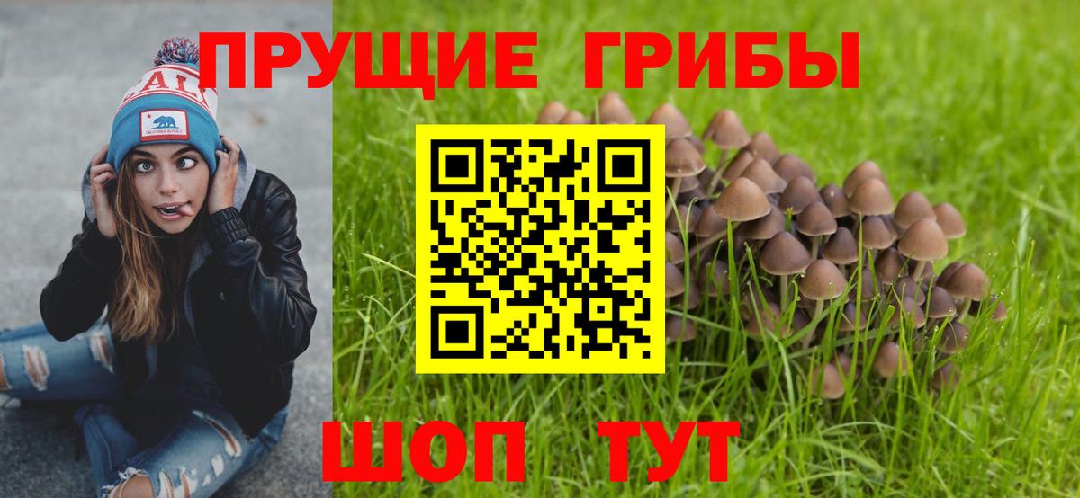 Галлюциногенные грибы мухоморы  Вход с VPN  Галлюциногенные грибы мухоморы  Корсаков 