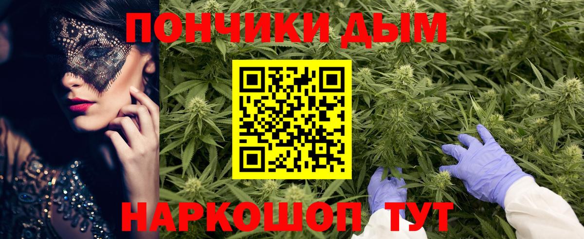 Бошки марихуана Bruce Banner  Конопля план  Канабис сатива  Вход с VPN  Корсаков 